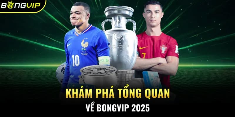 Bong vip - Sân chơi hàng đầu, bảo vệ an toàn người chơi
